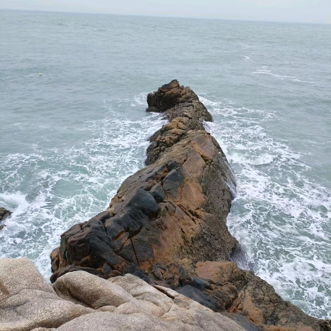 逆水行者