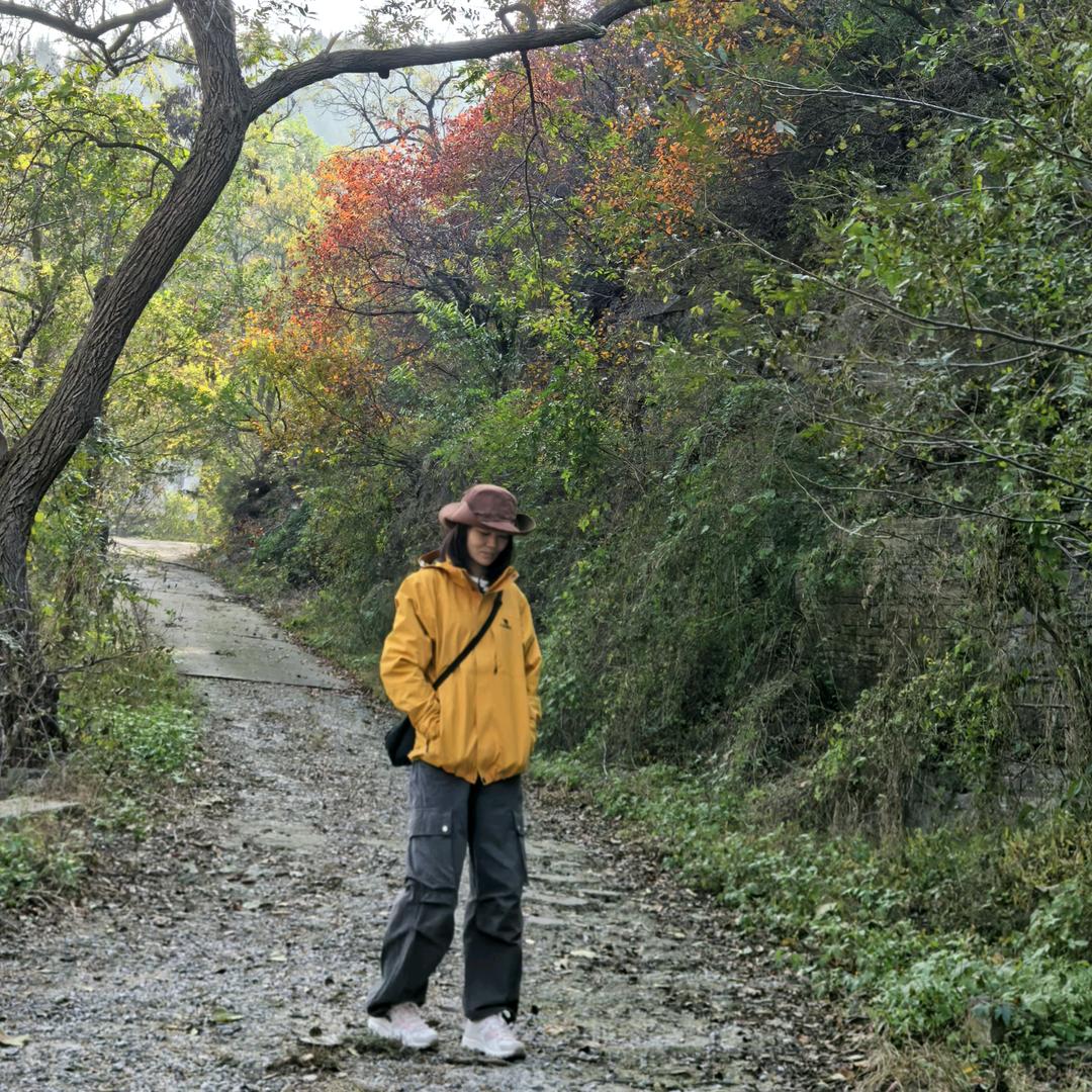 是真的吗