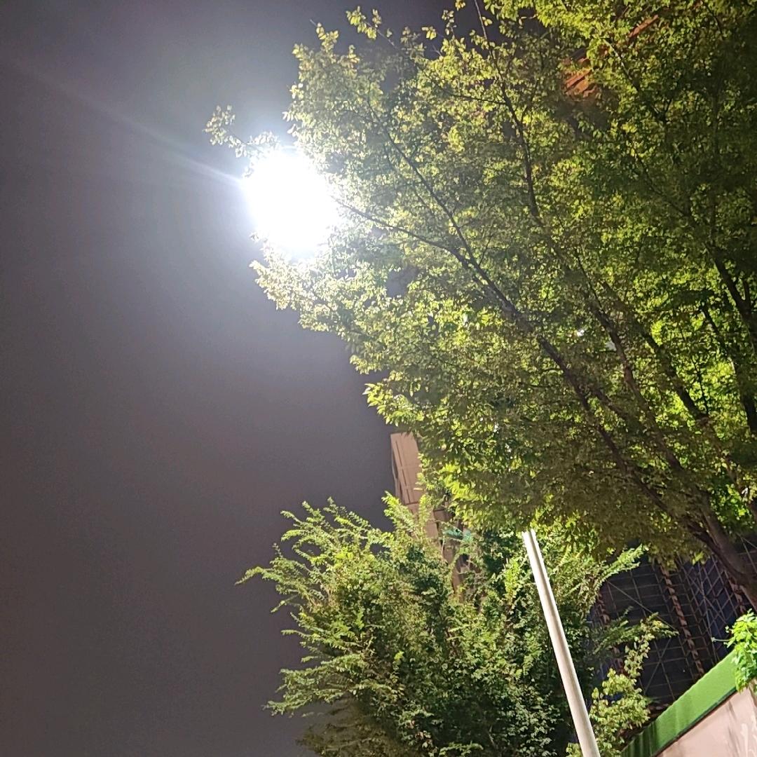 小明同学