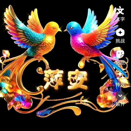 枚瑰