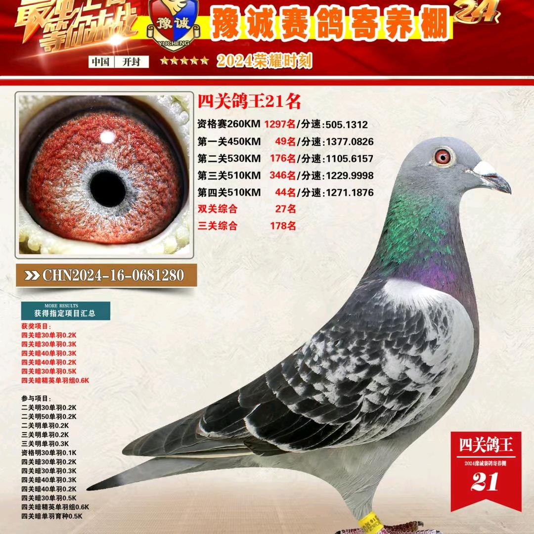 大华鸽舍