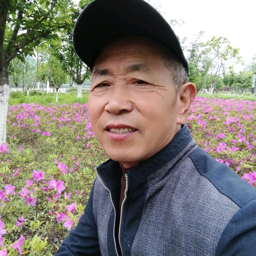 张柏林