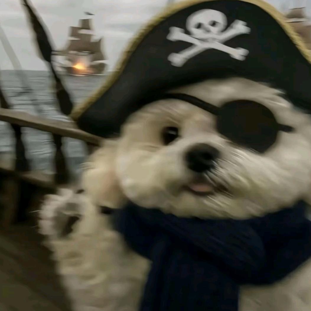 忧郁的绝世帅哥