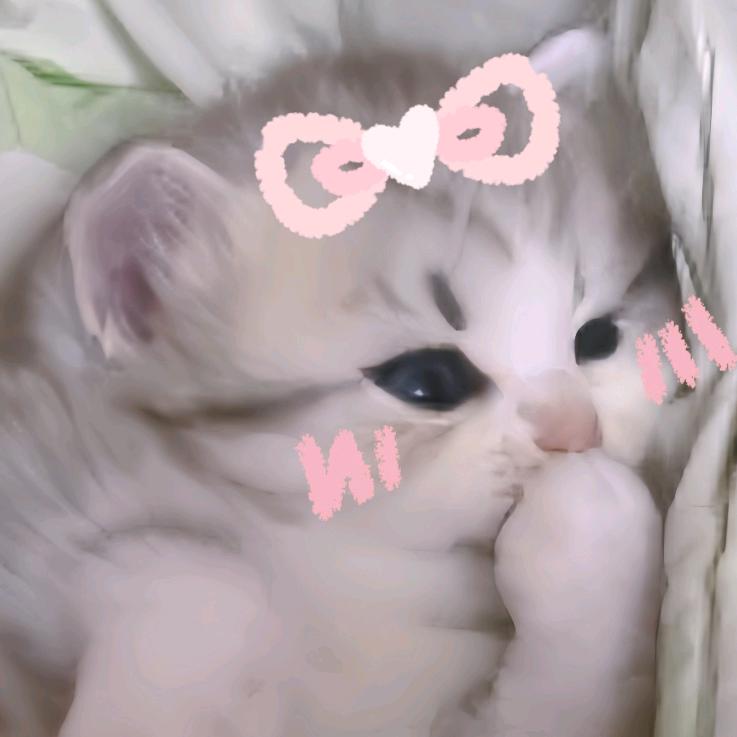 圈圈歪歪