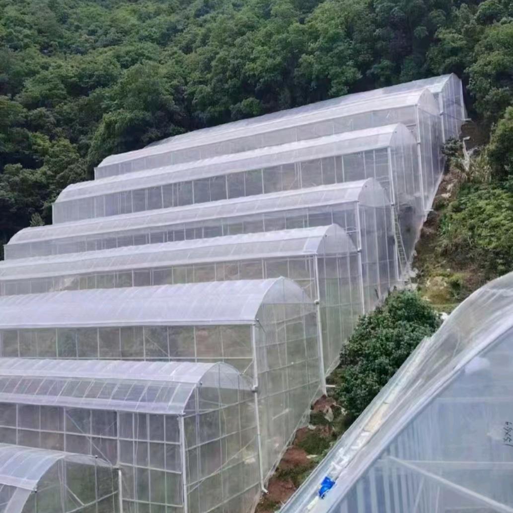 江苏泰之旺温室工程