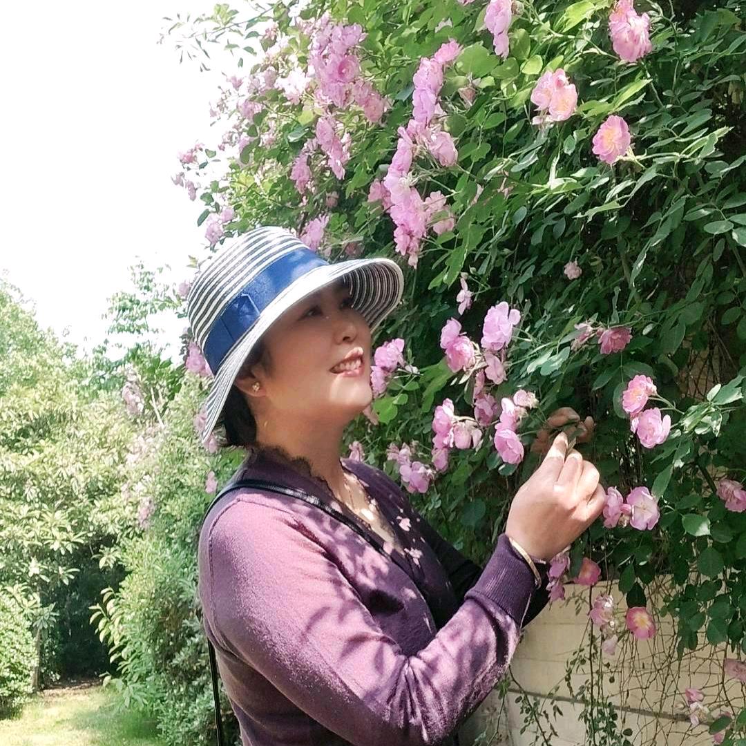 风景独好