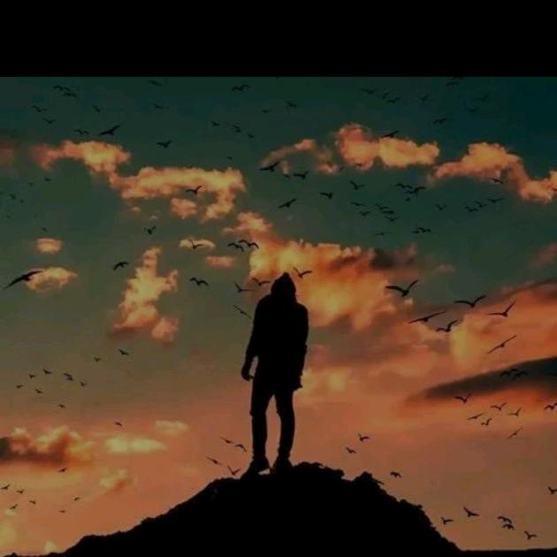 零伍壹叁🥂¹¹⁹⁹