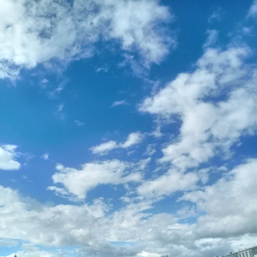 泰山根