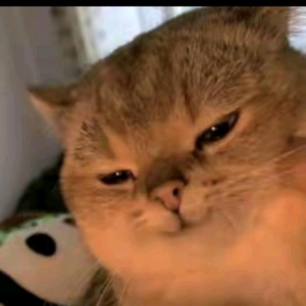 我尿的刷刷接。