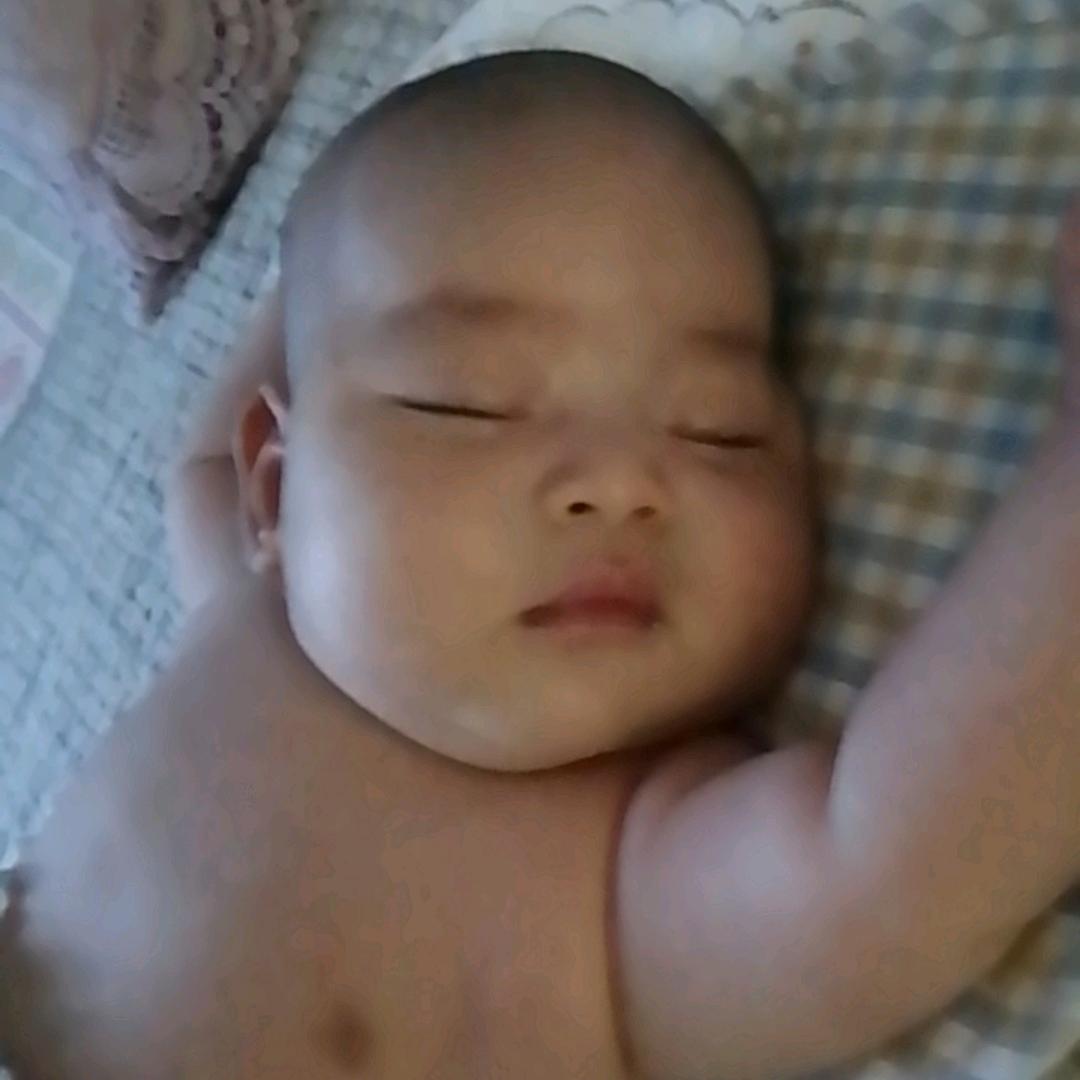 2025的小橙子