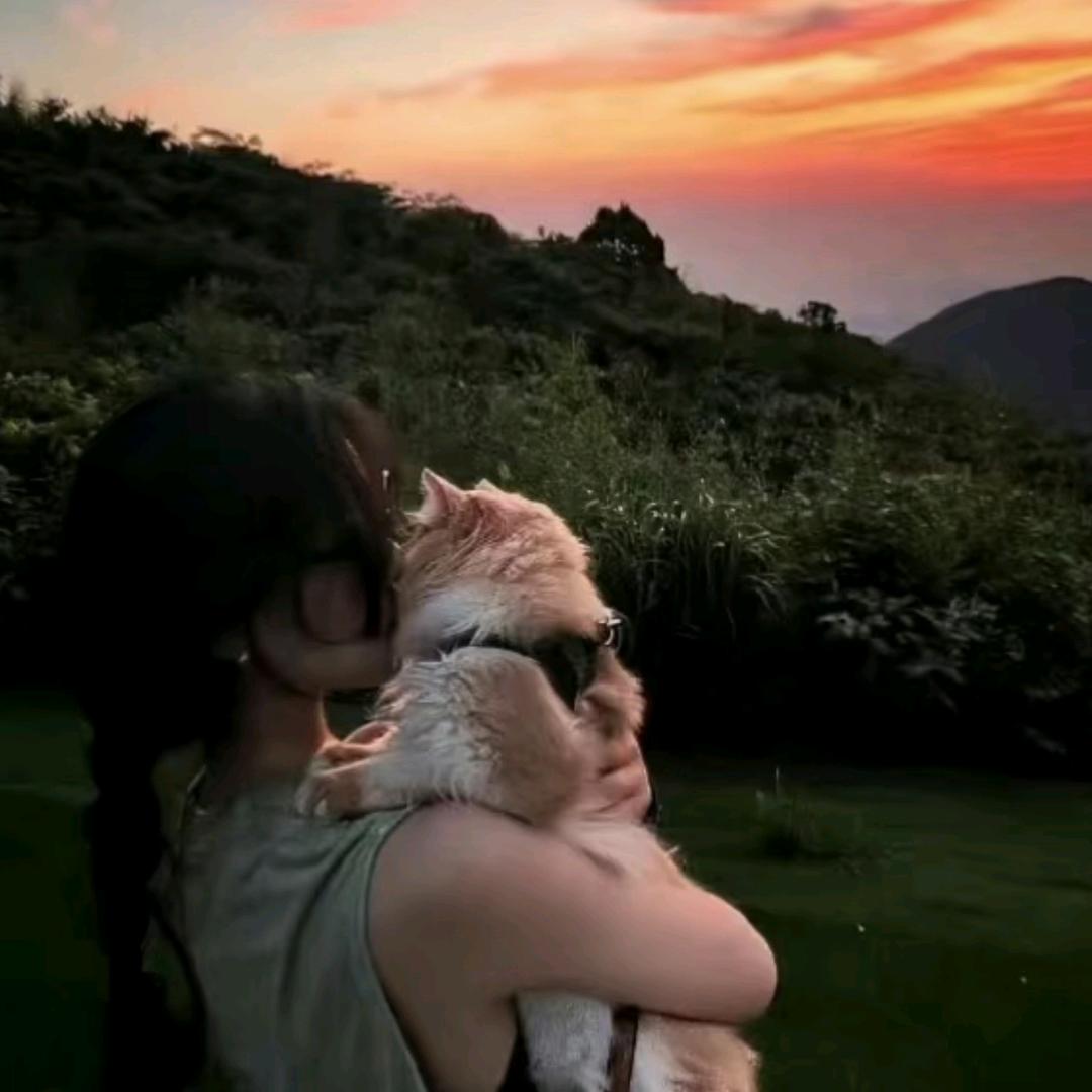 小👑羊૮꒰˶•༝•˶꒱ა  ♡