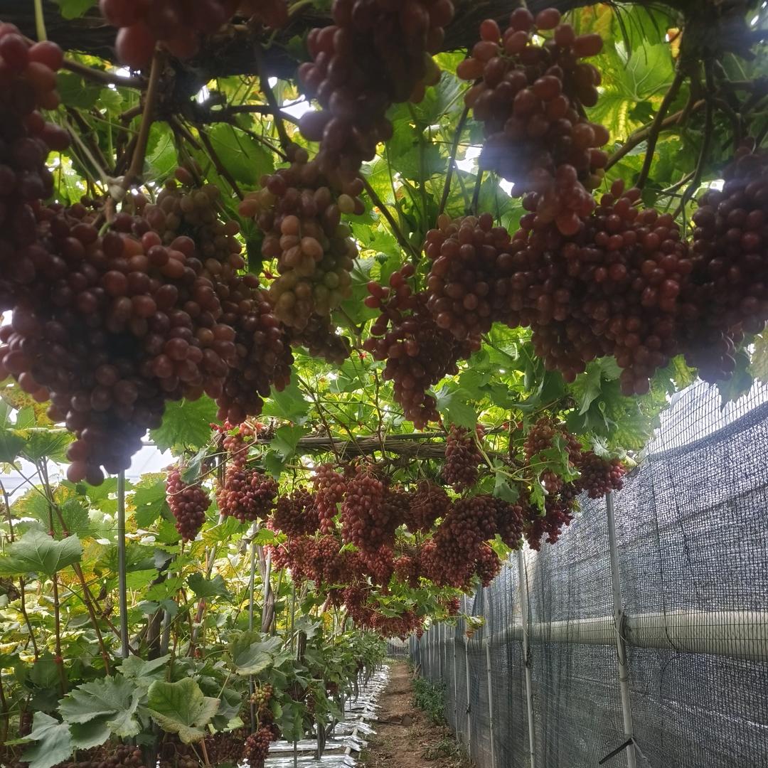 遇见就是缘分
