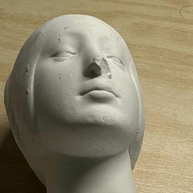 余夏的热与满身苍耳的猫