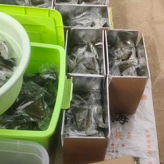 静以修身粽