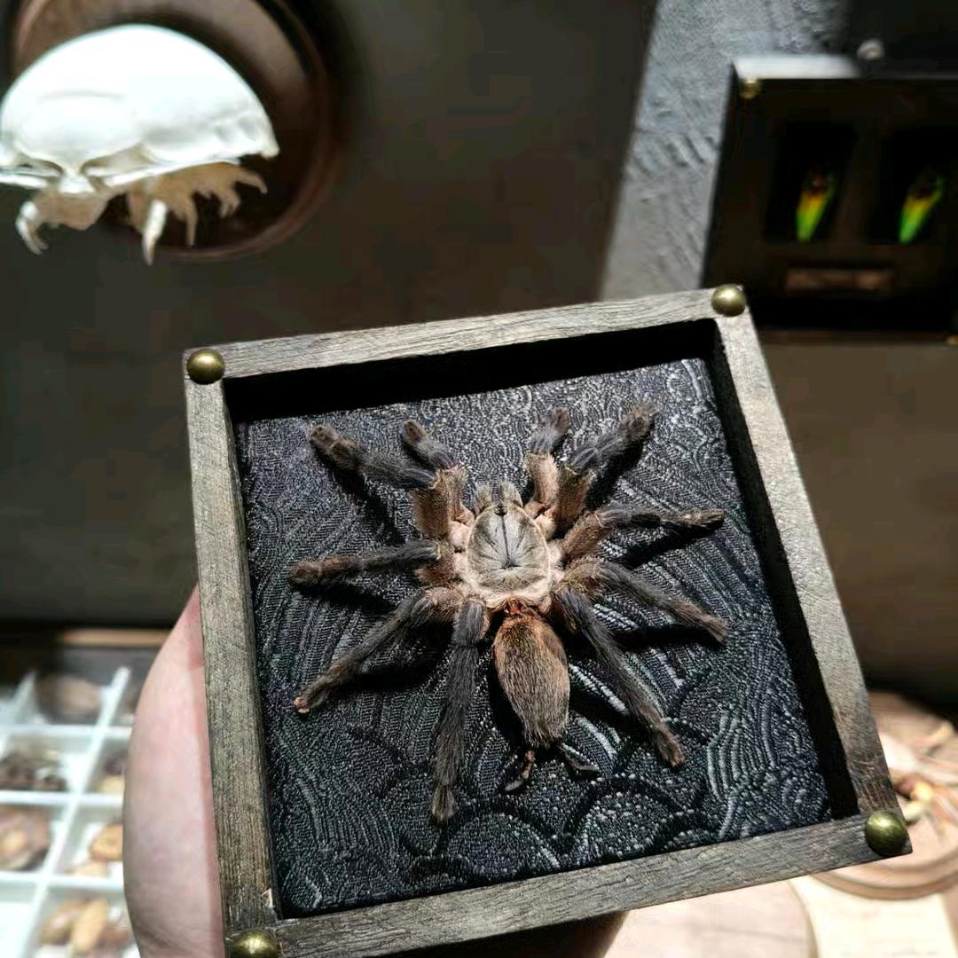 离过两次婚知道怎么疼女人