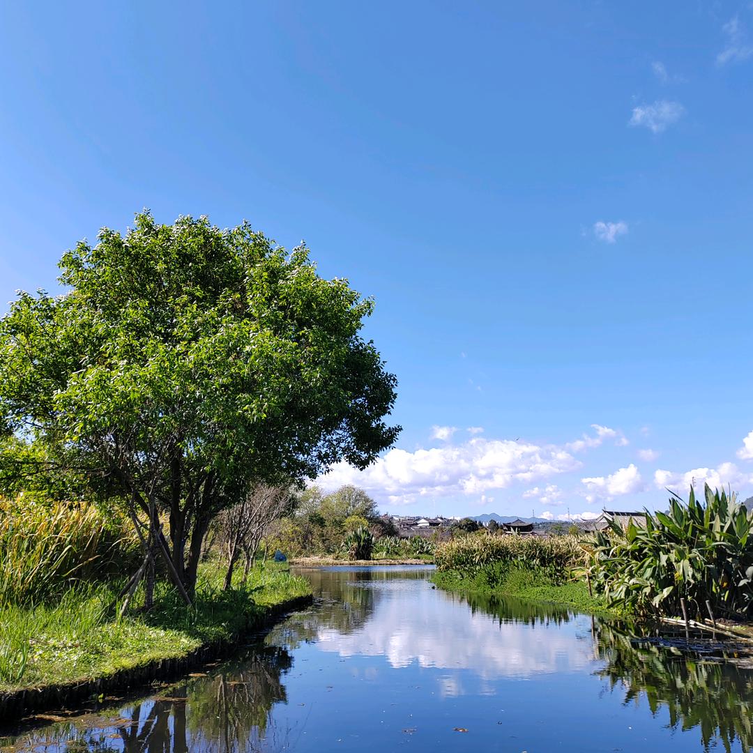 蓝天🌴🌴