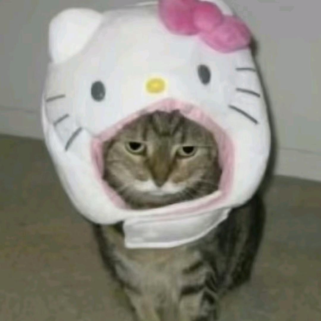 不说白日梦