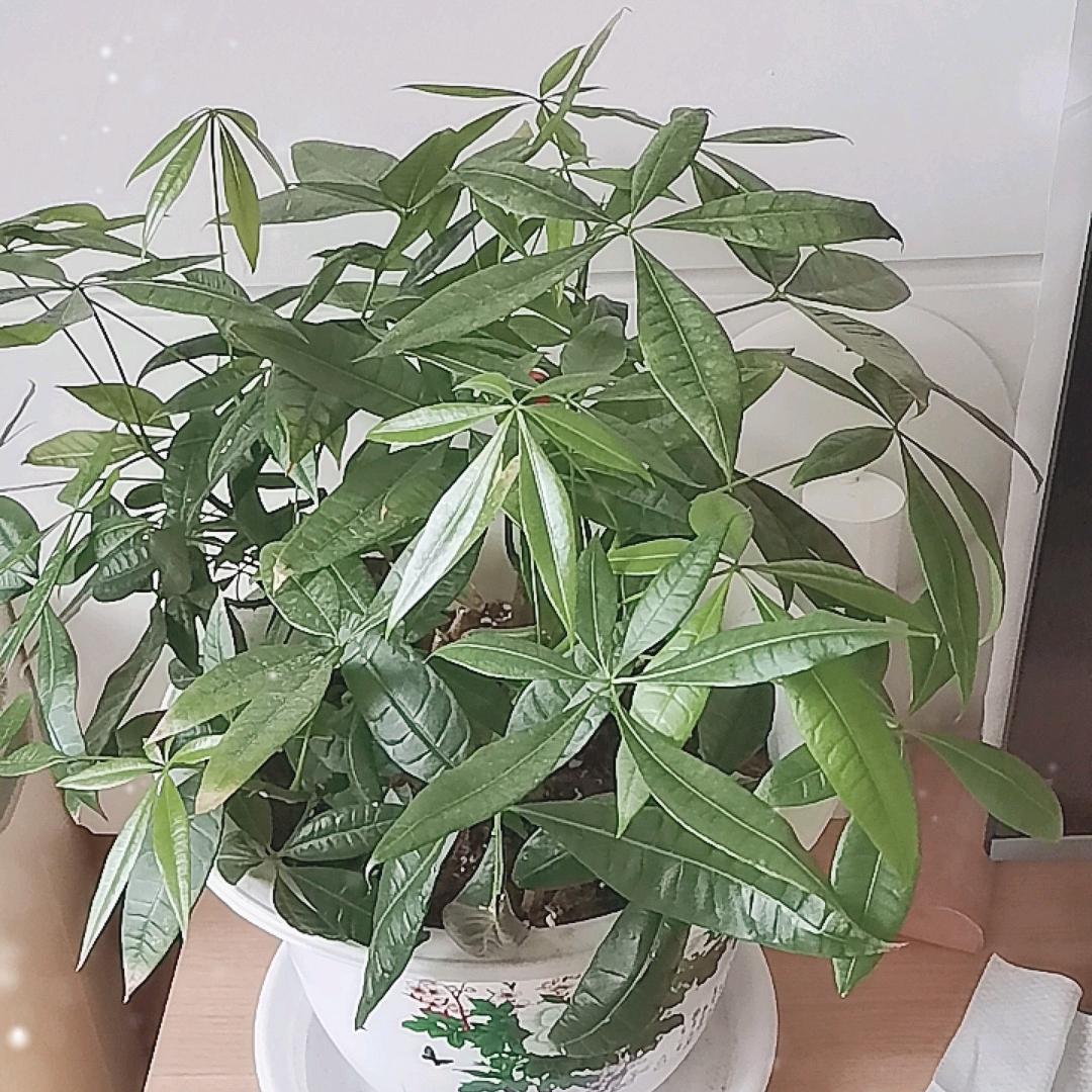 美好