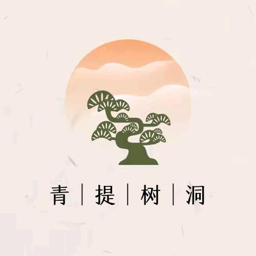 鑫儿《上岸日记》
