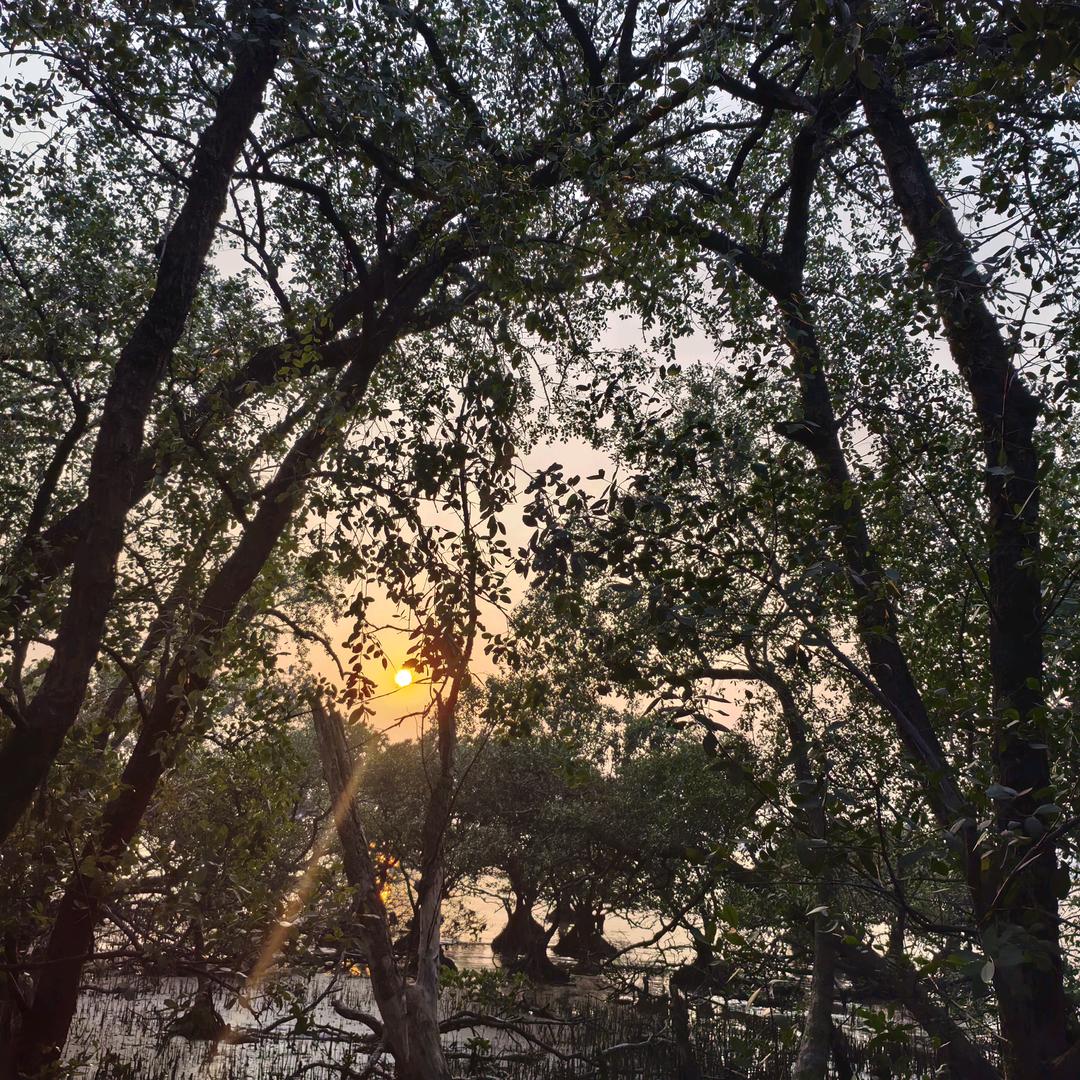 ꧁꫞꯭多꯭余꯭꫞꧂