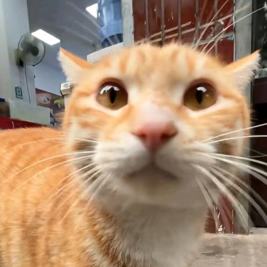 用户7179655664672