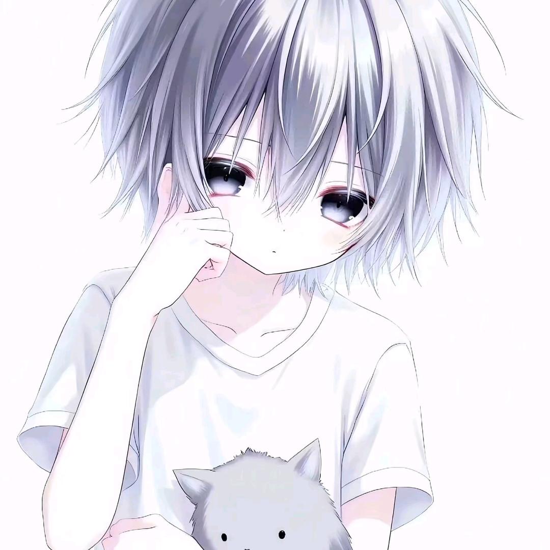 如果你也听郑润泽