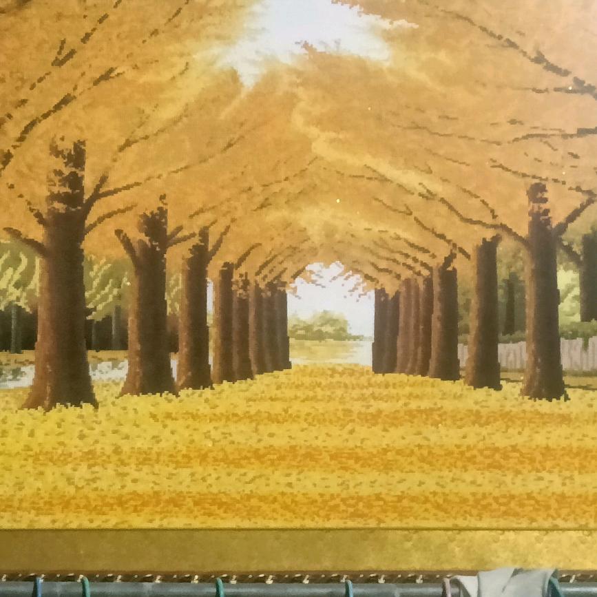 紫竹林