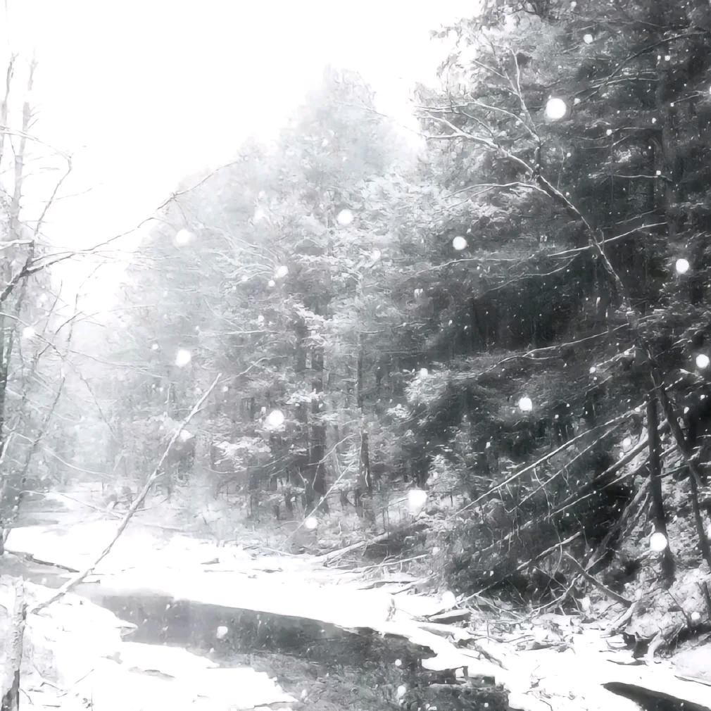 飘雪ouo