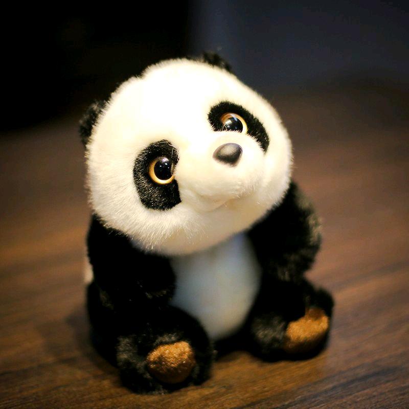 小兔子（小乌龟）