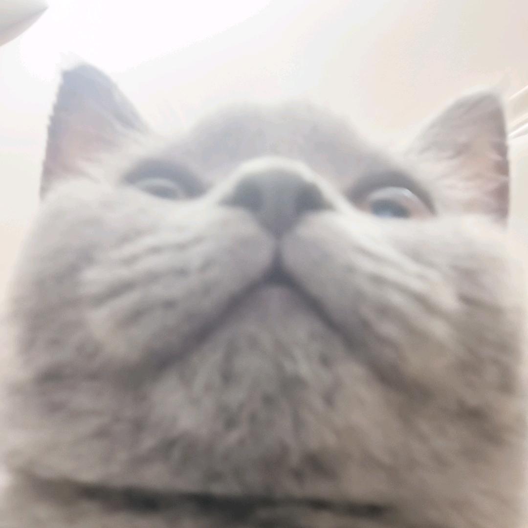 团踢奈