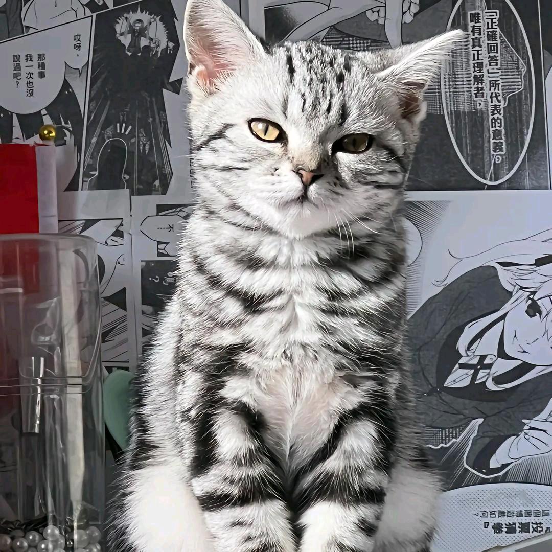 冬天里的yu