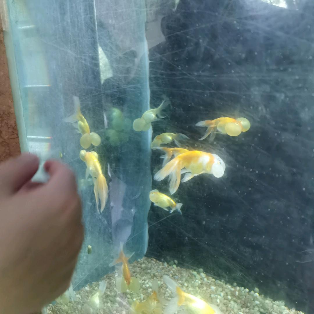 用户8041130136828