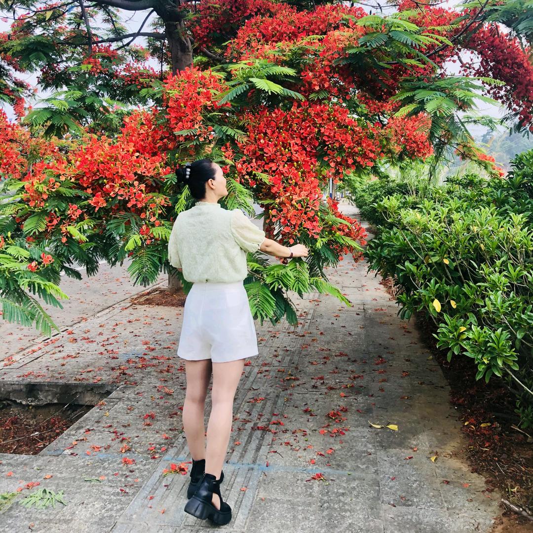 爱跳舞的艳姐🌻💃🌻