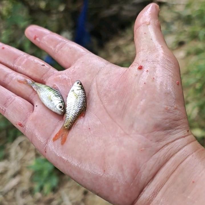 落尘🎣🎣