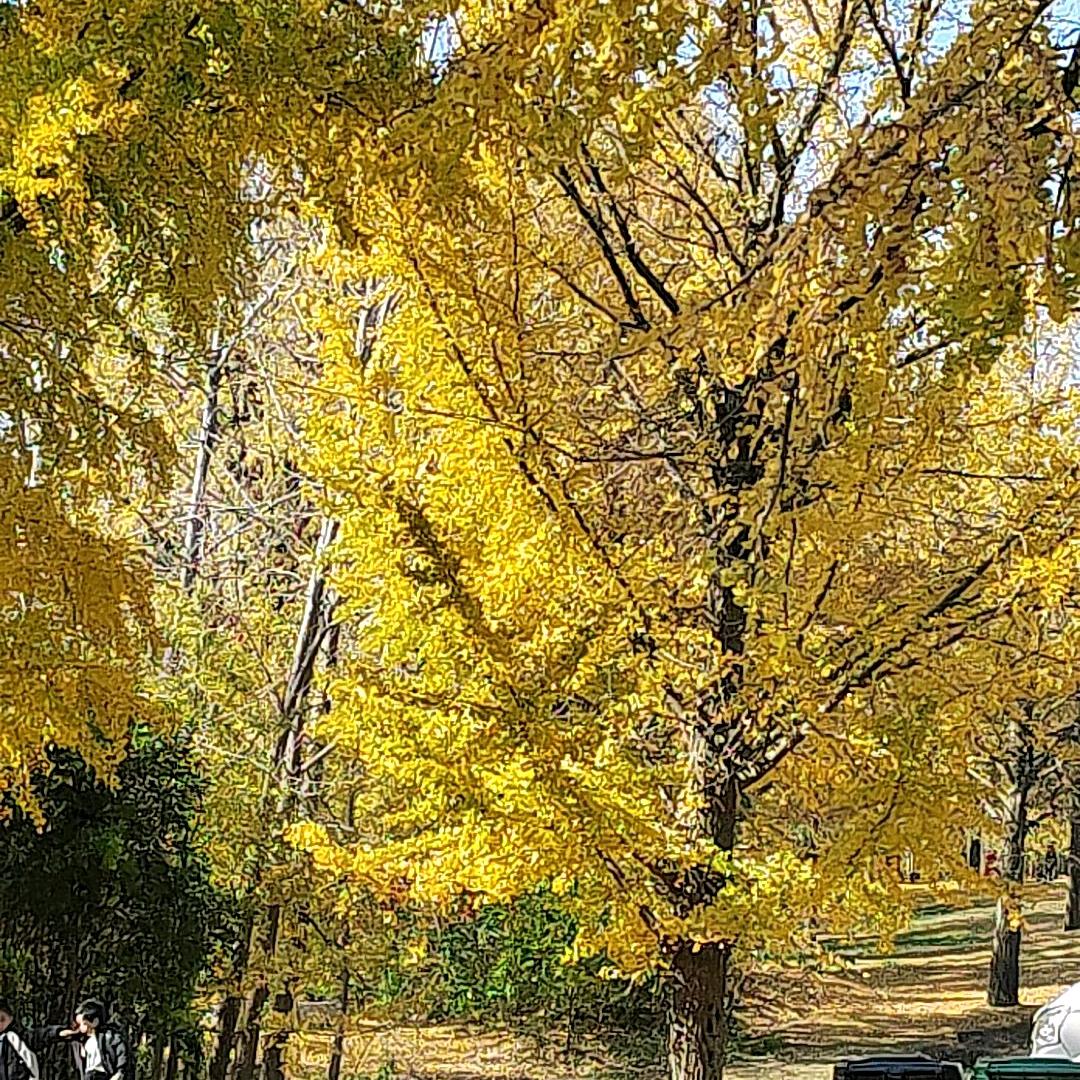 🐲谢家🌺四千金👣