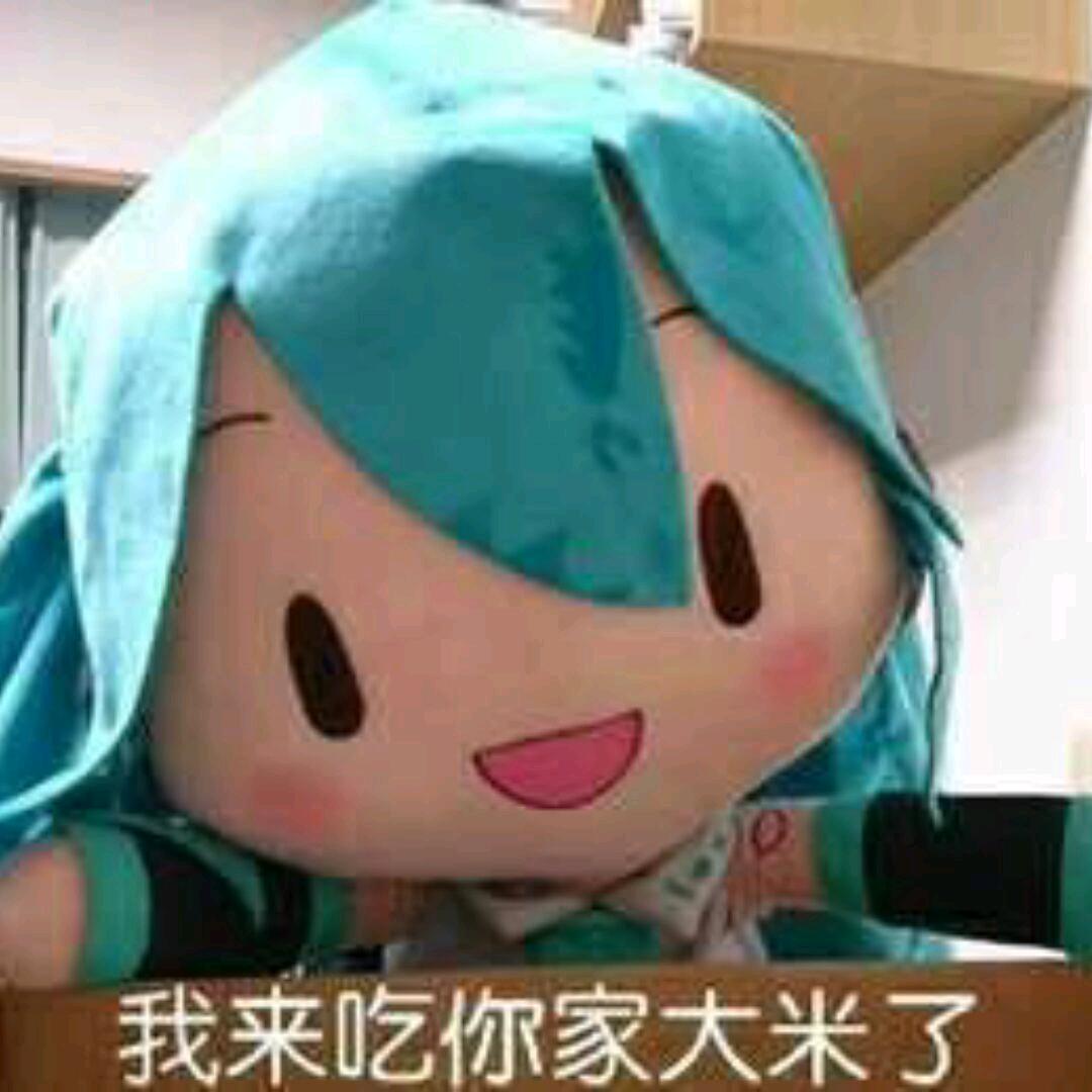 一只小泉泉啊啊啊啊啊