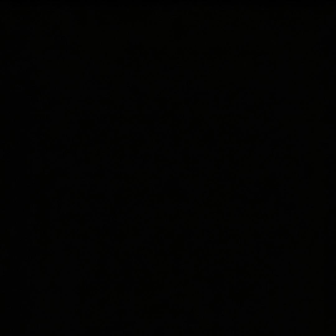 🌜🌜