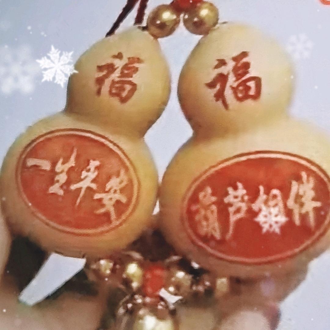 金夜花