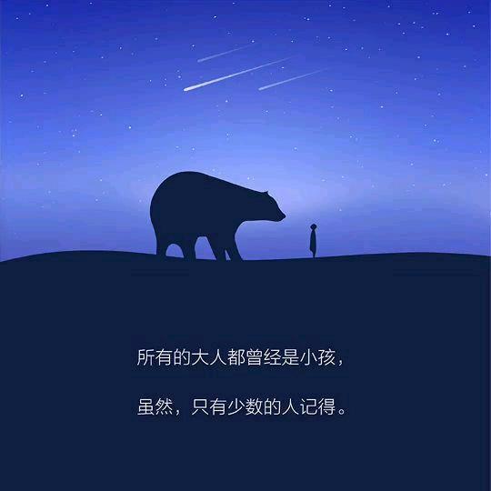 龙不羿