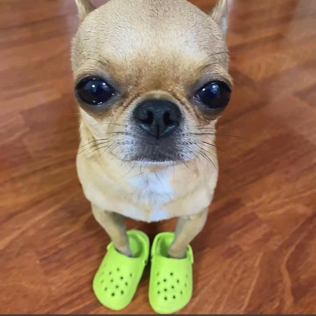 也曾大喊来财也曾渴望玉牌