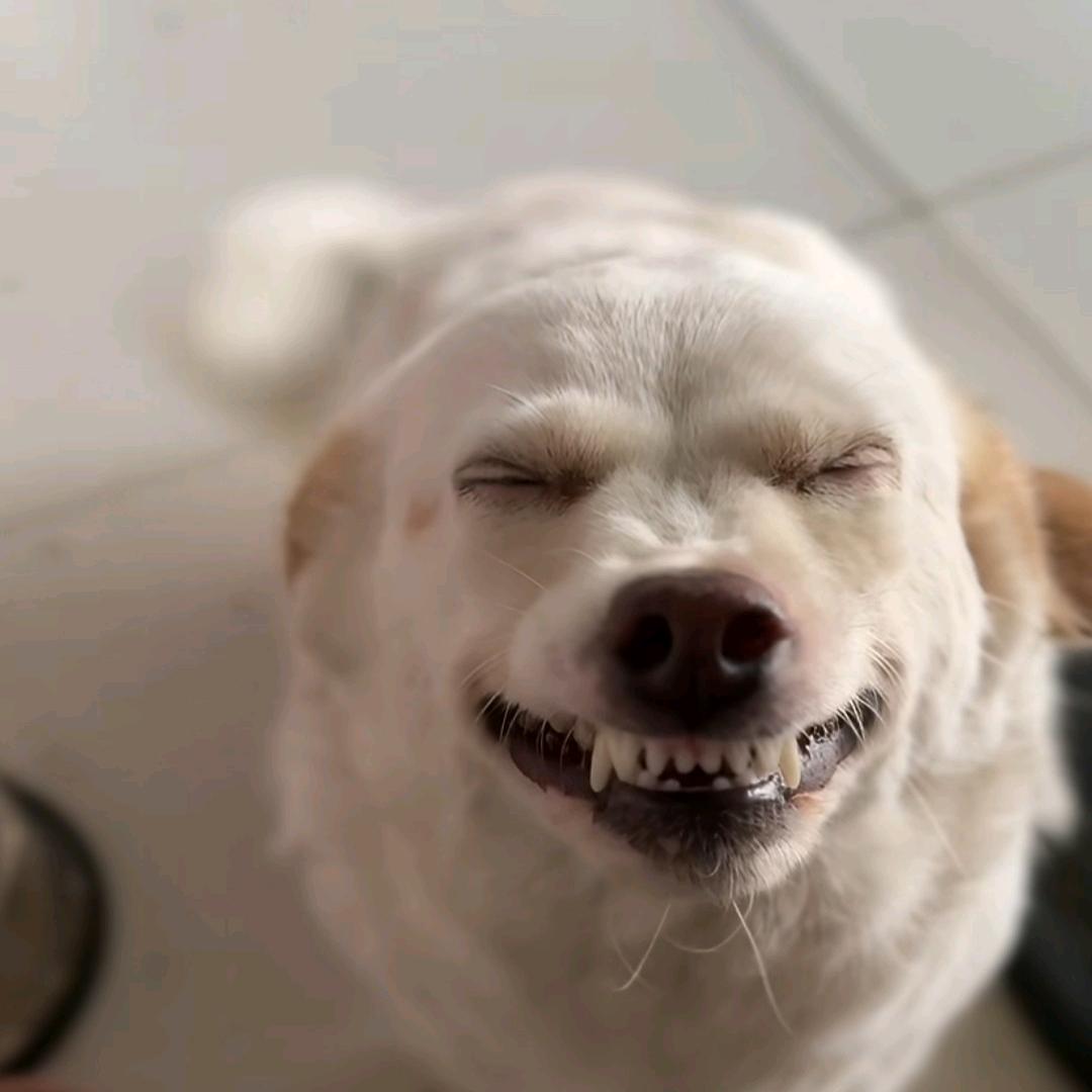 華