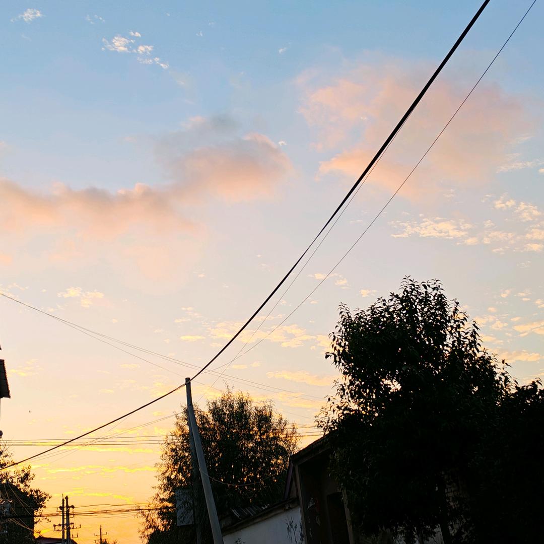 林夕儿