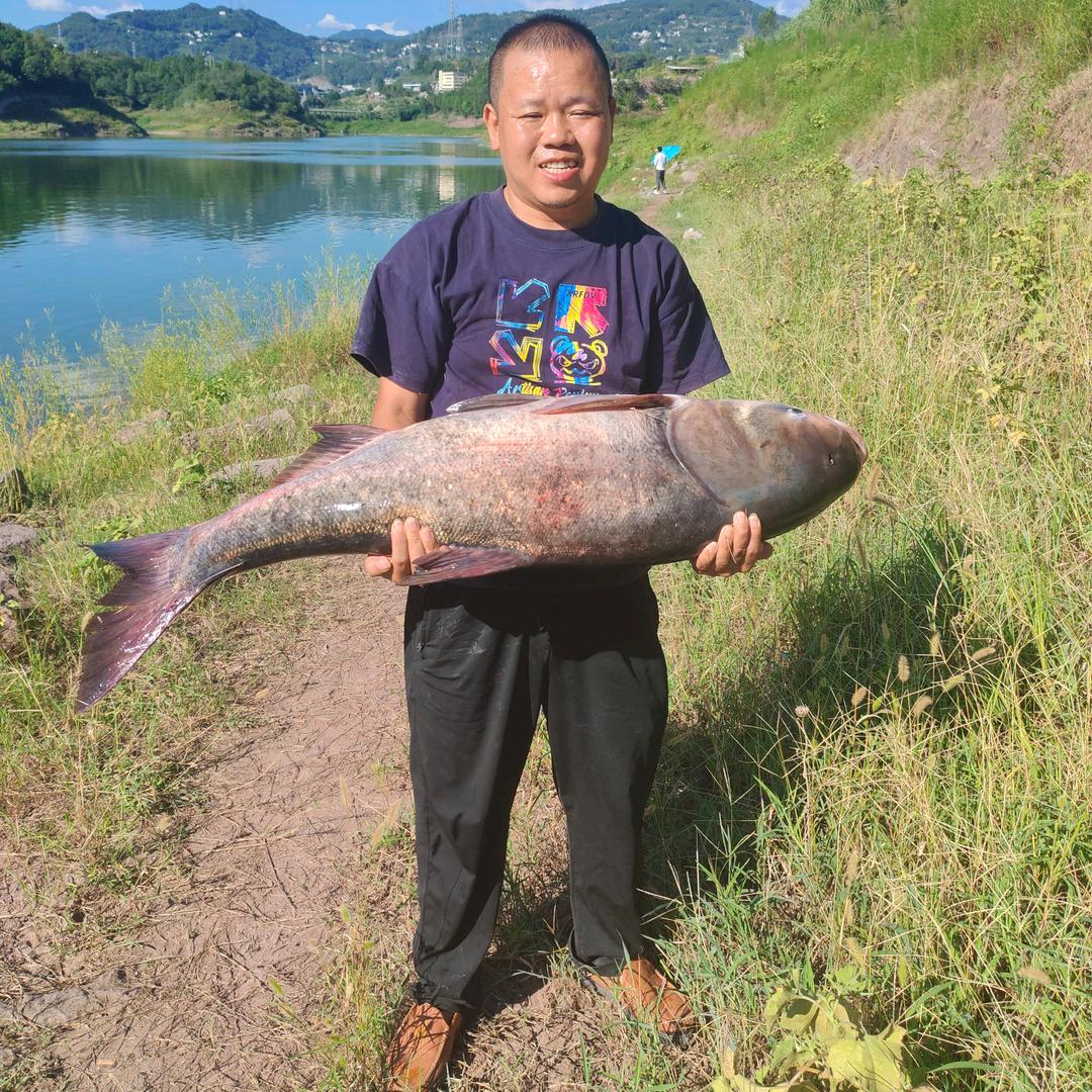 吴空钓鱼