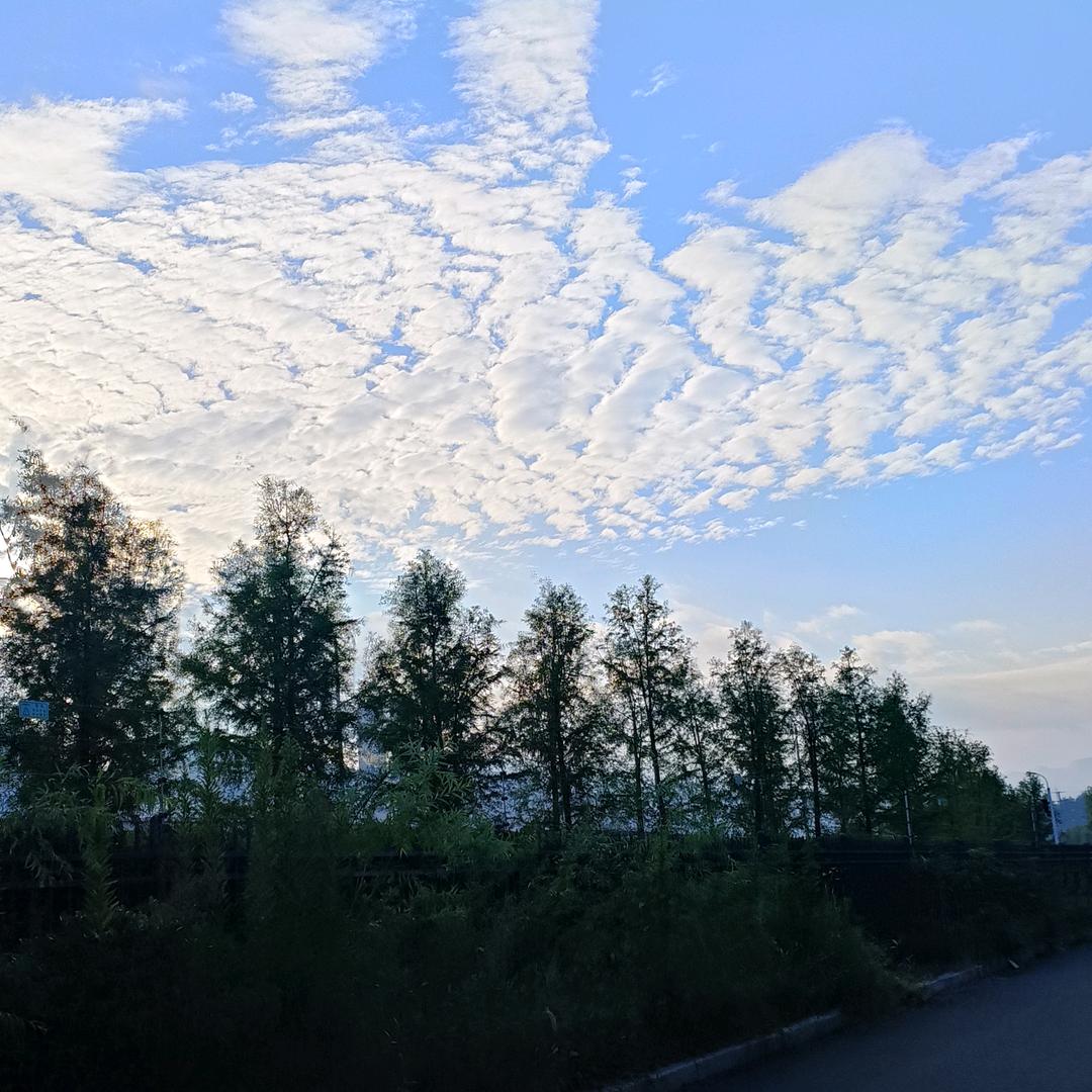 ઈ᭄向日ོ⃨葵უ⃛ྃ࿐