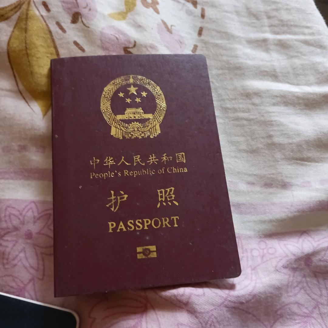 两眼不闻窗外事！