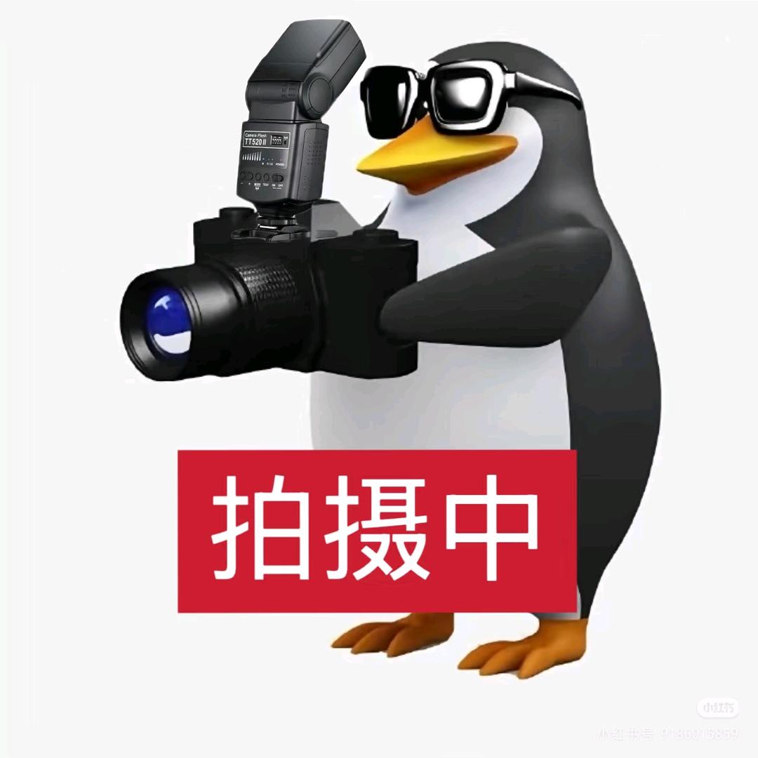 姐妹神图有了！