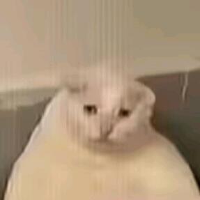 鼠饿了（三角洲）