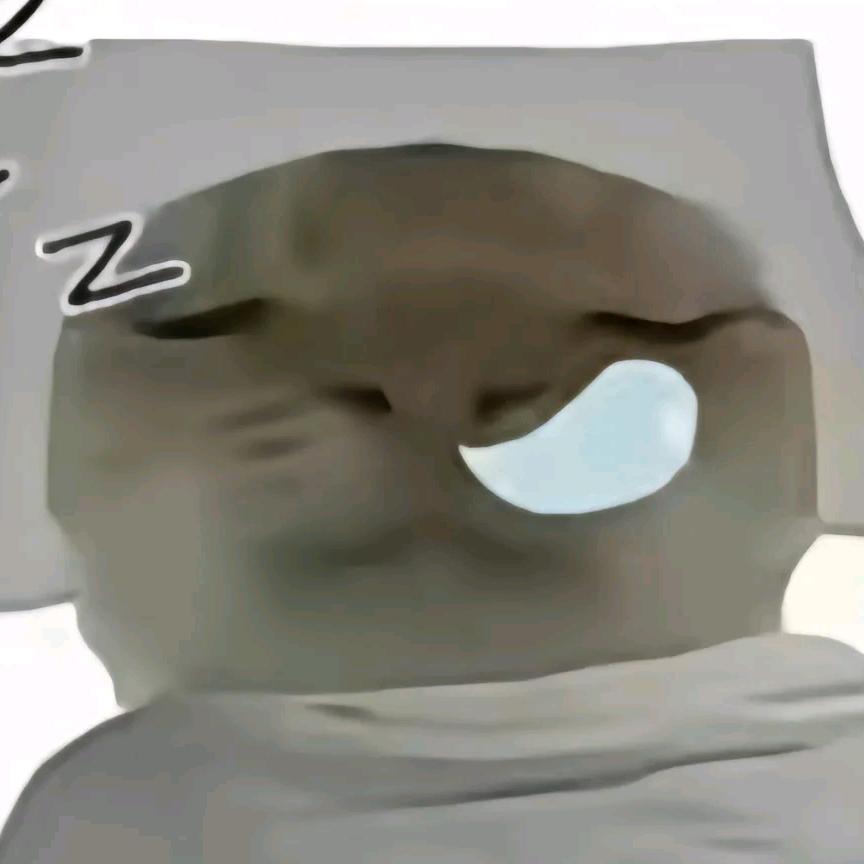 哈基咪