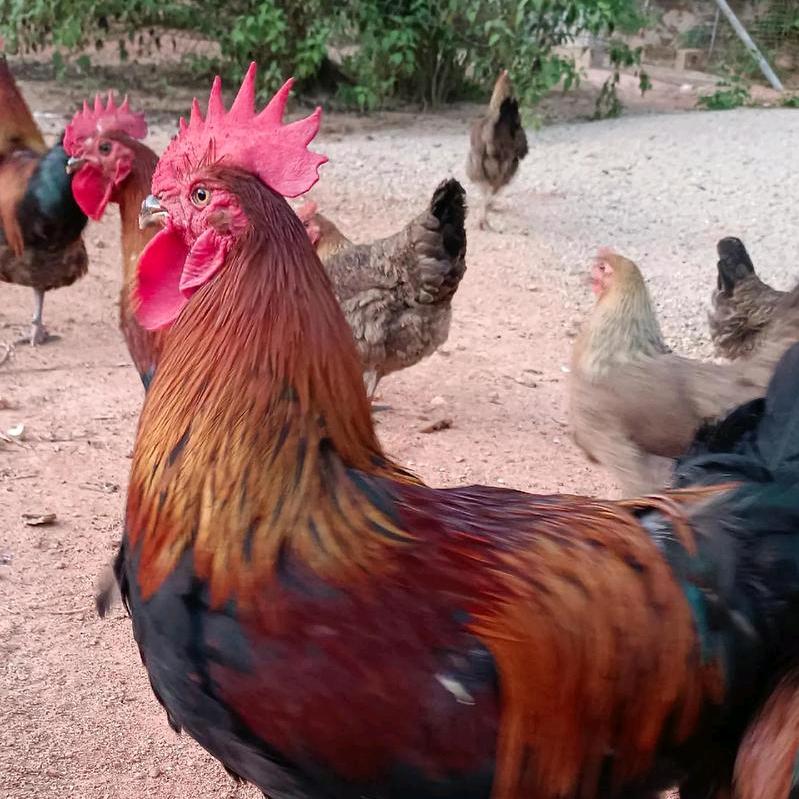 钟祥特色农产品小铺