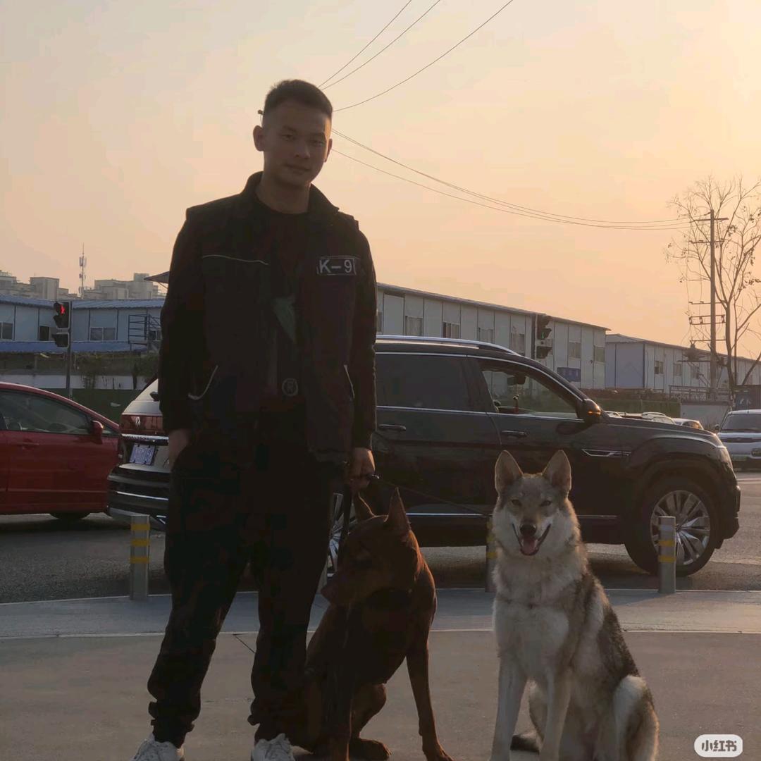 西昌训犬师陈杰(上门训犬)